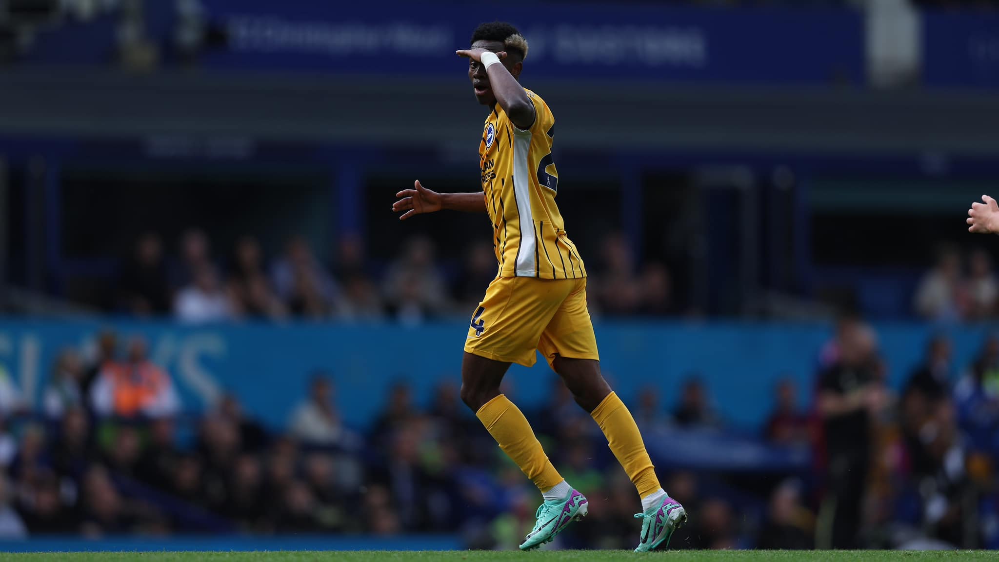 Match action during the Premier League match  between Everton and Brighton and Hove Albion at Goodison Park, during the 2024/25 season, on 17th August 2024.